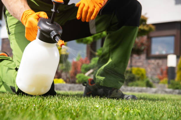 Best Wasp Removal Services  in West Milwaukee, WI