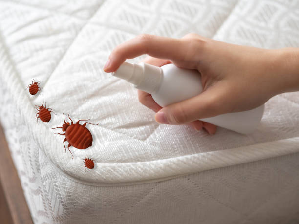 Pest Prevention Services in West Milwaukee, WI