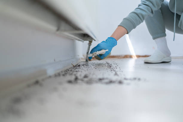 Best Flea Control Services  in West Milwaukee, WI